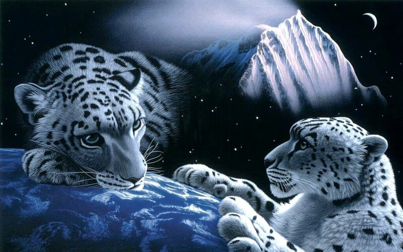 Snow Leopards on Rock — Blue, Dramatic