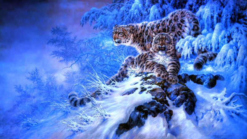 Snow Leopards on Rock — Blue
