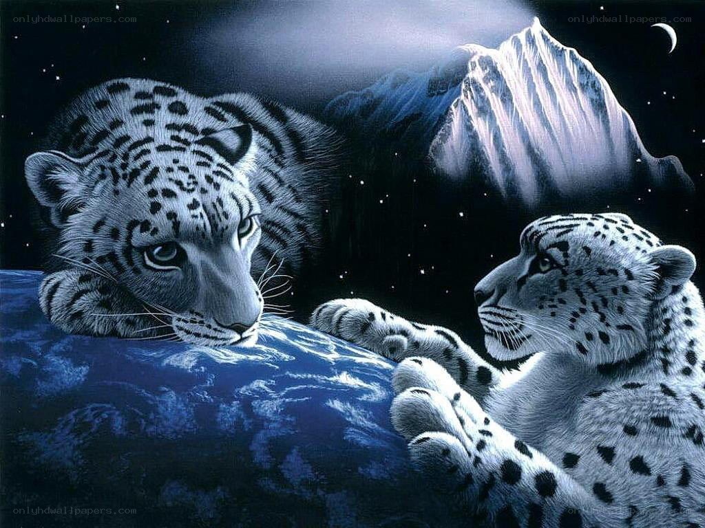 Snow leopards under moonlight