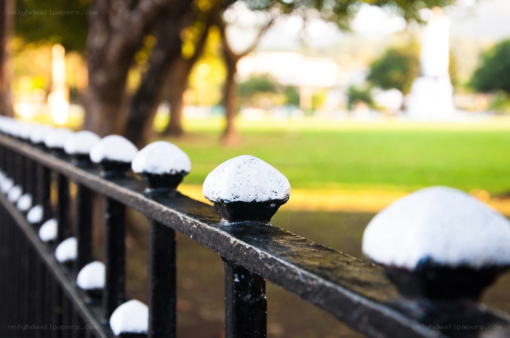 Snow on a park fence