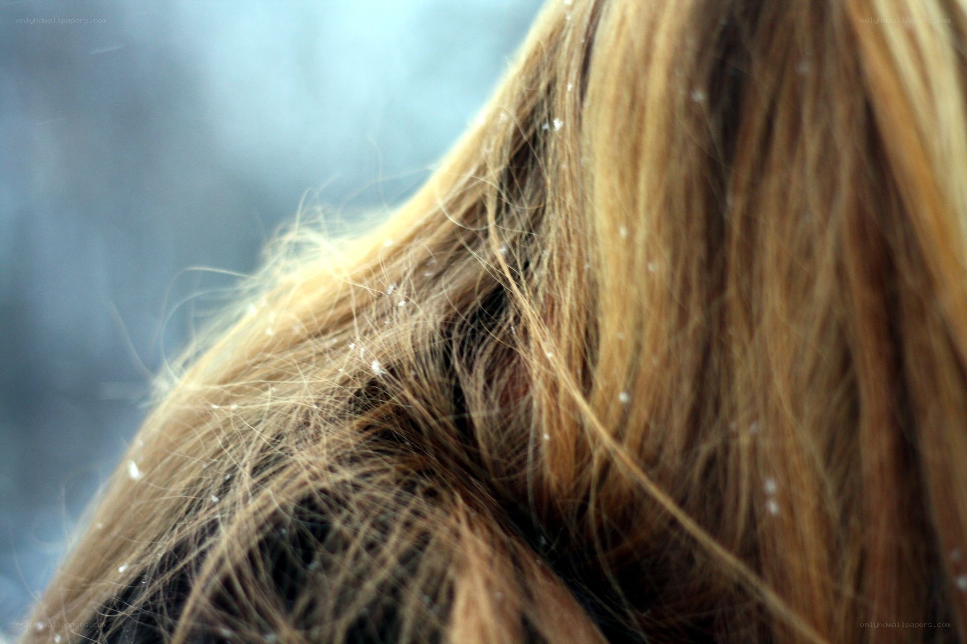 snow on blonde hair
