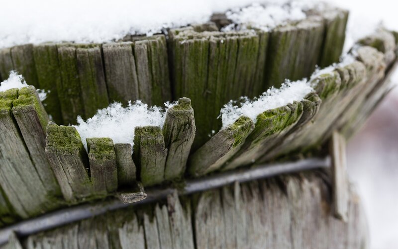 snow on wooden fence