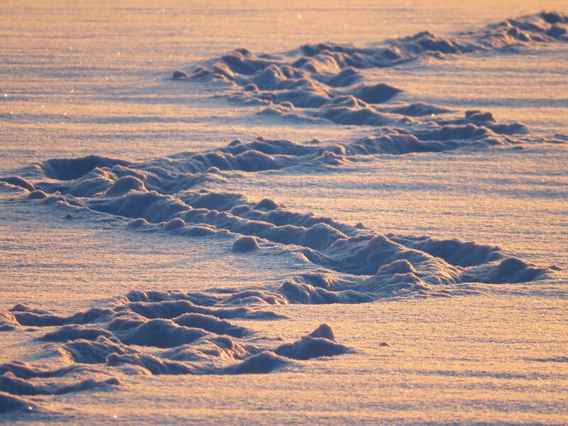 snow patterns at sunrise