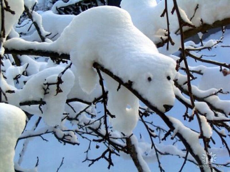 Snow Sculpture of Polar Bear — White