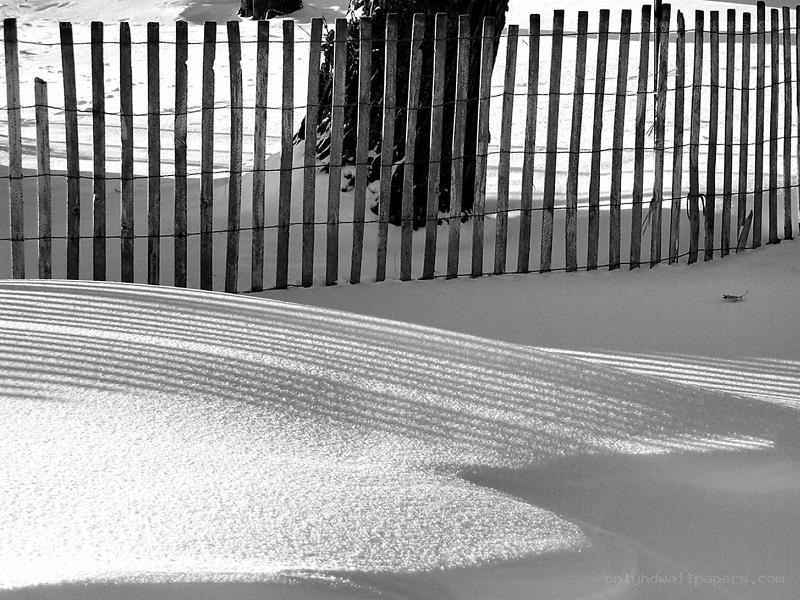 snow shadows on a fence