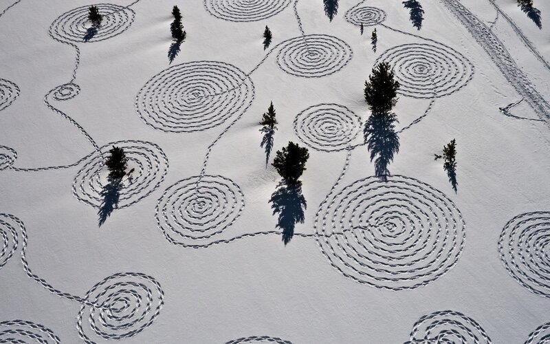 Snow spirals in a forest