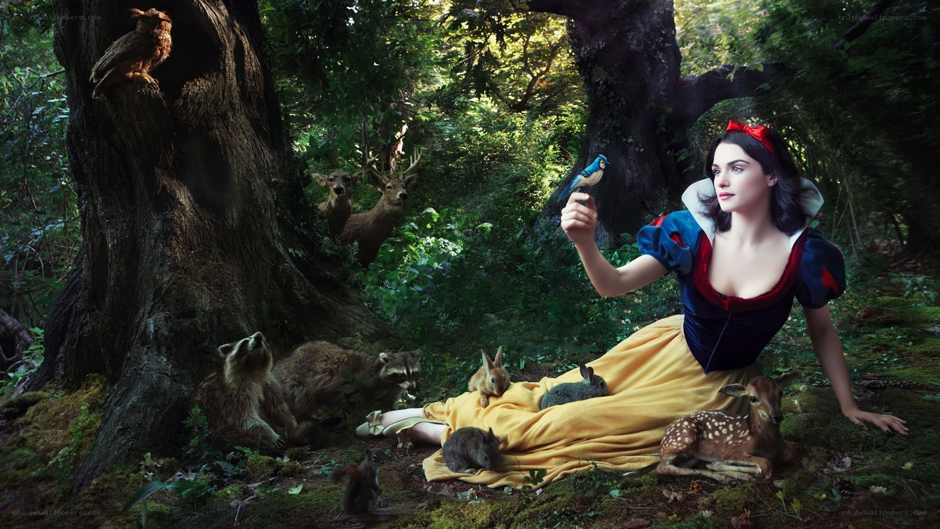 Snow White in the forest