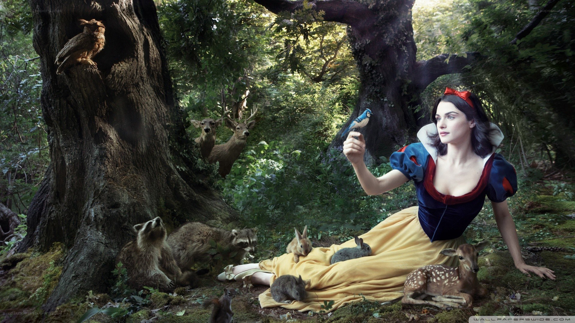 Snow White in the forest