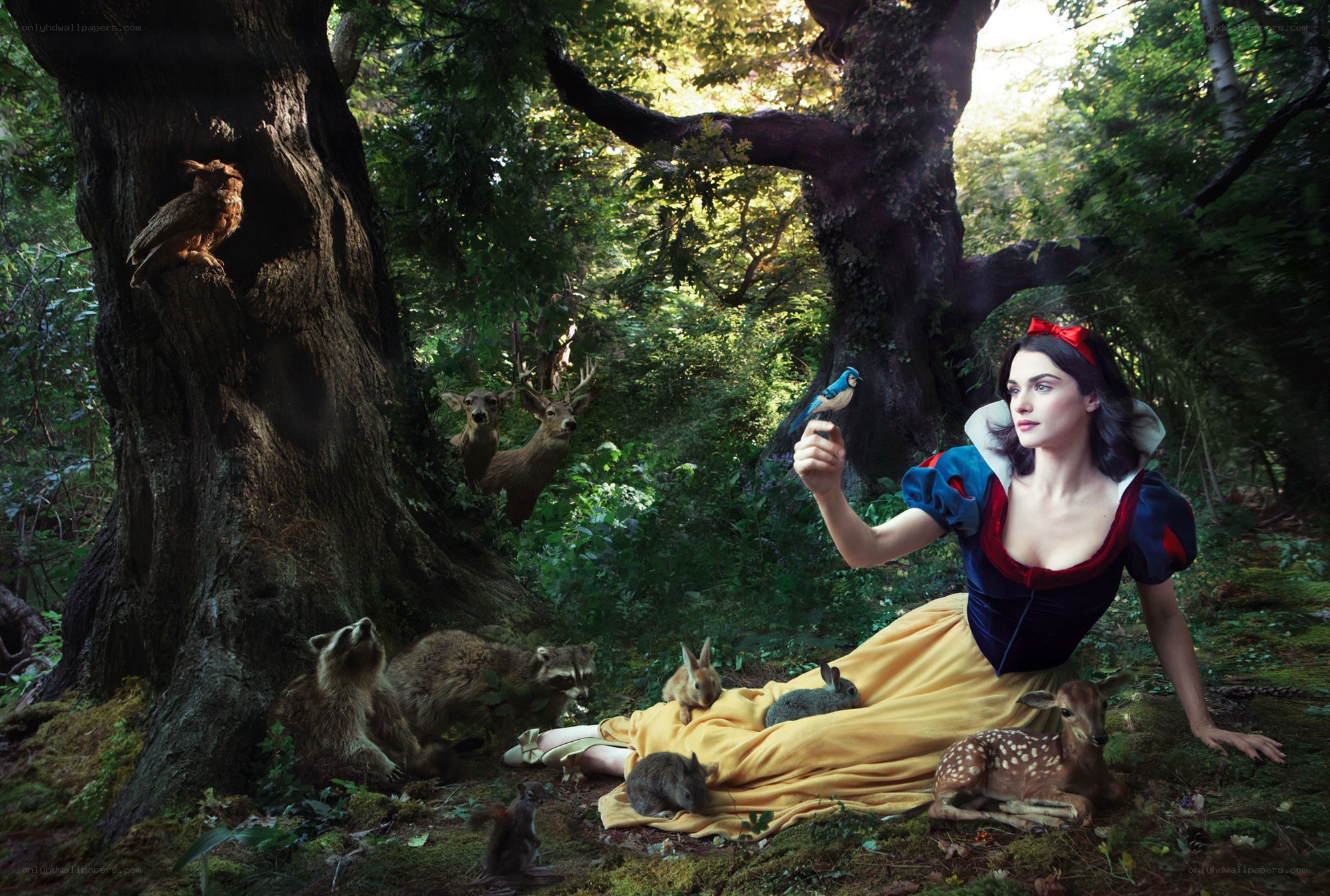 Snow White in the forest