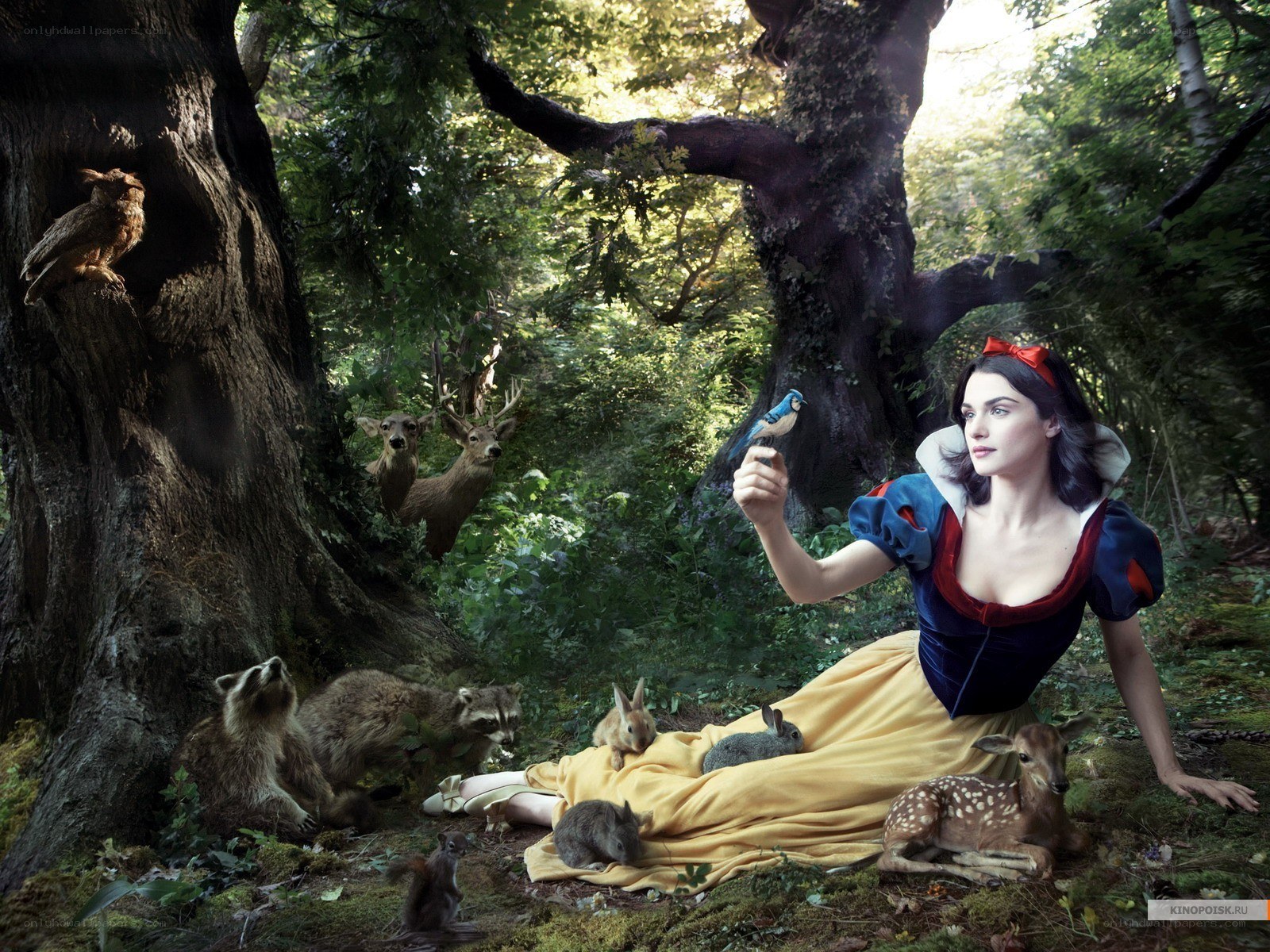 Snow White in the forest