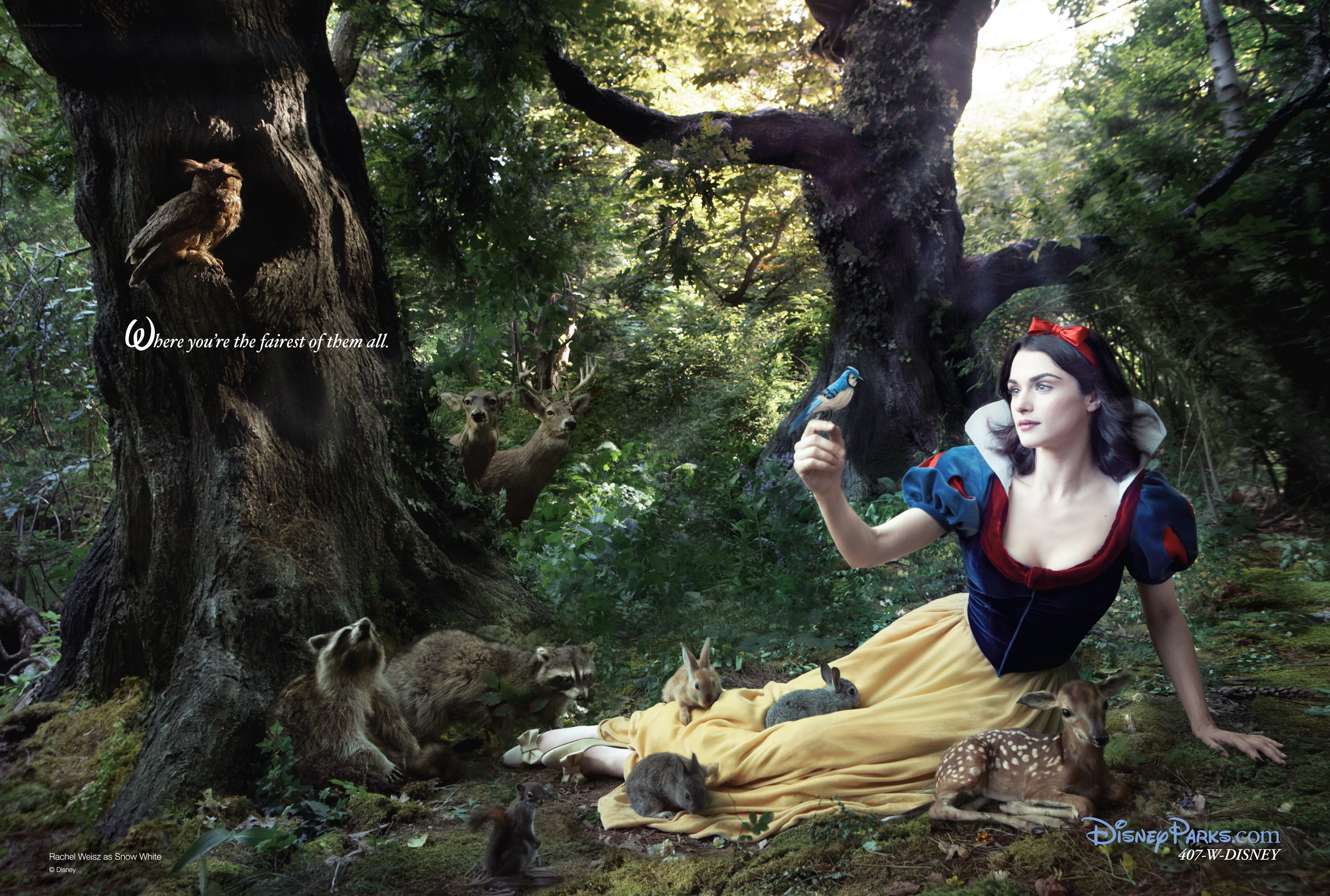 Snow White in the forest