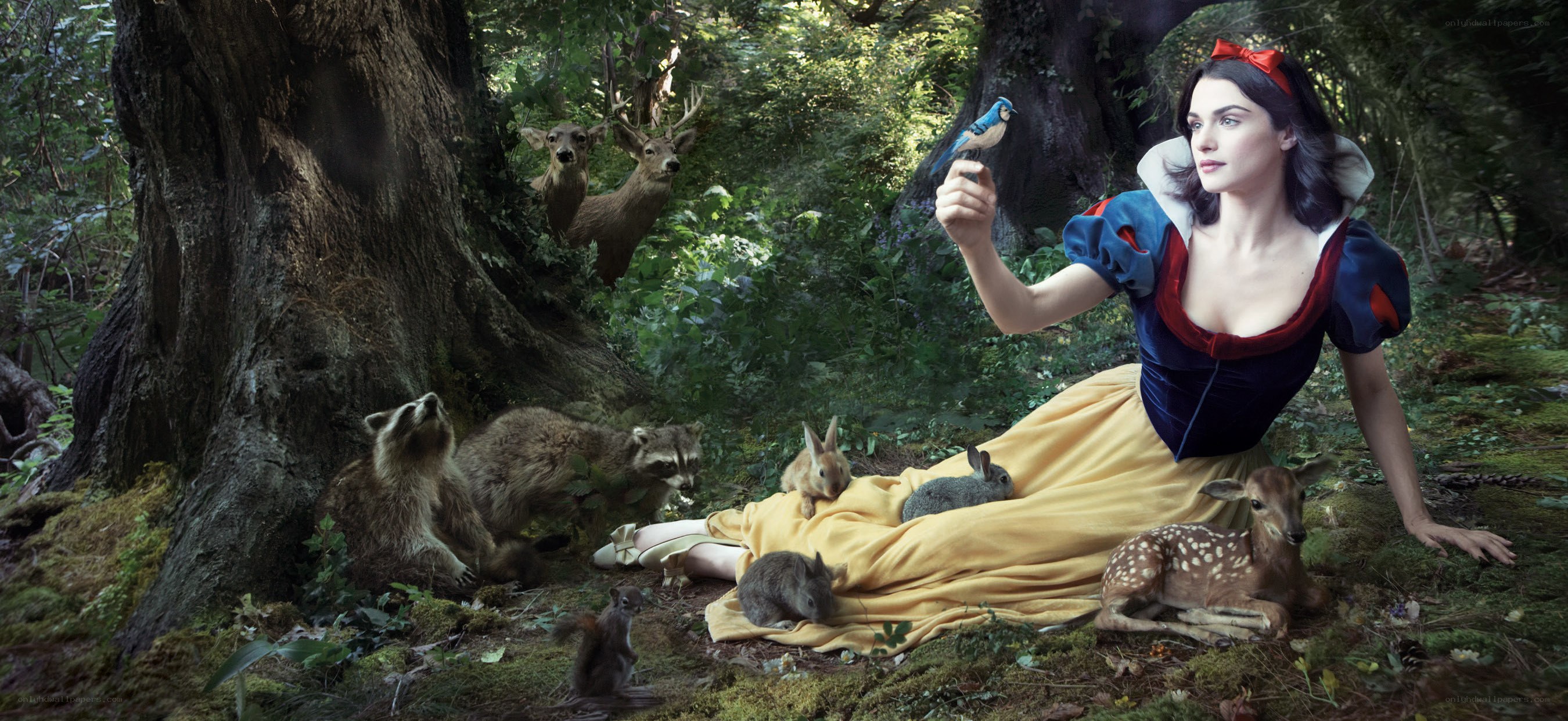 Snow White in the forest