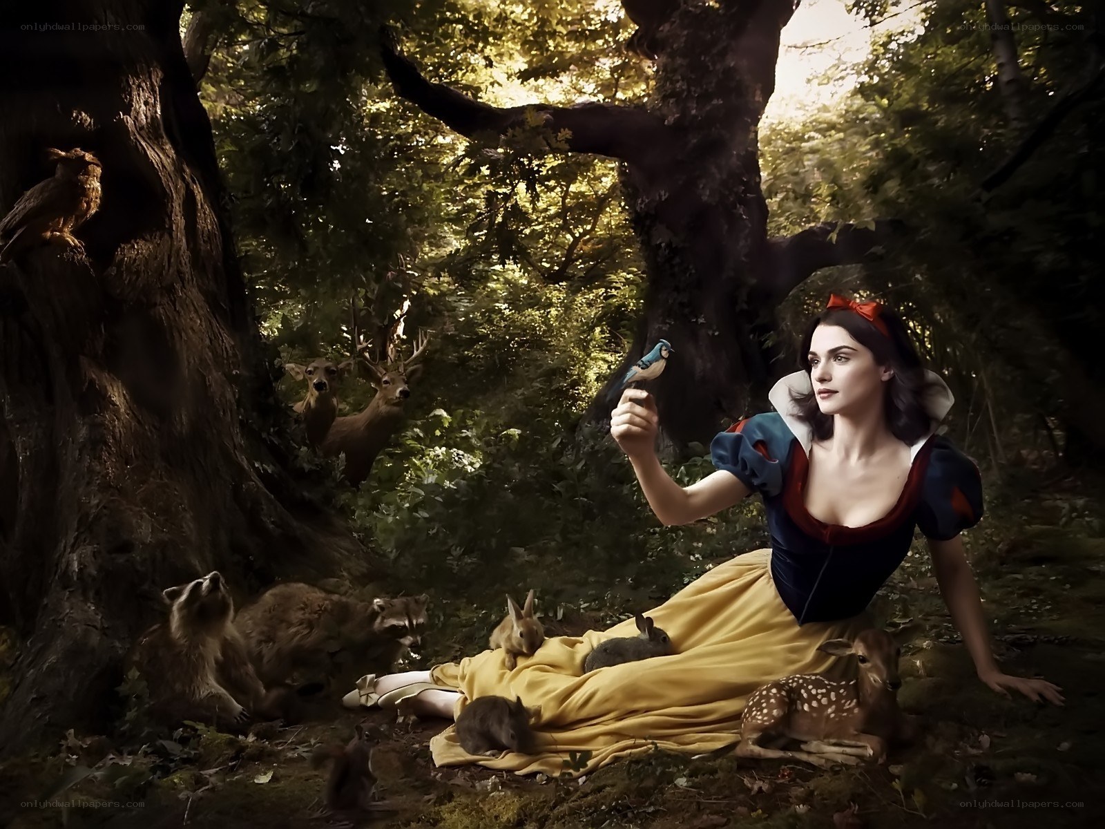 Snow White in the forest