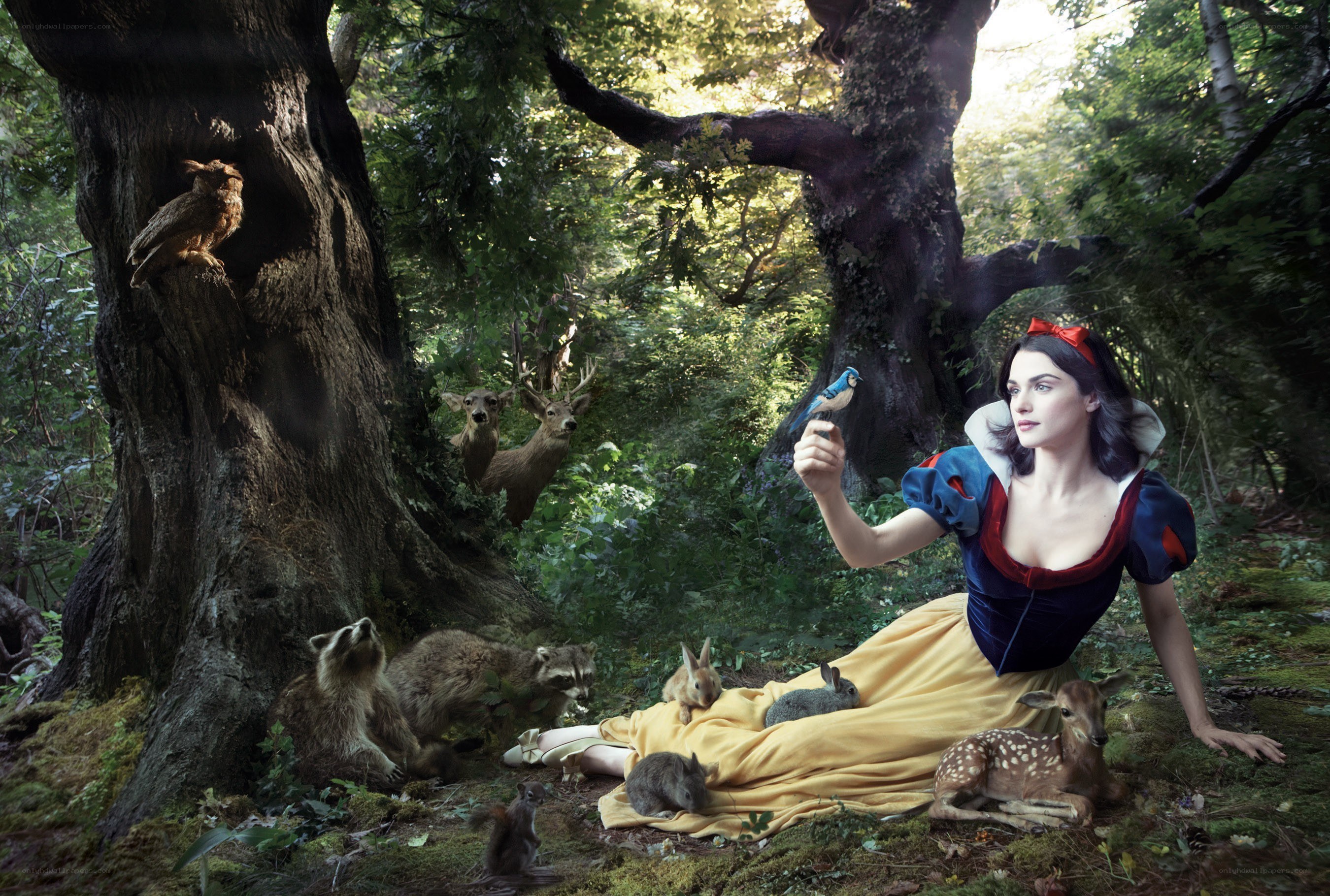 Snow White with forest animals