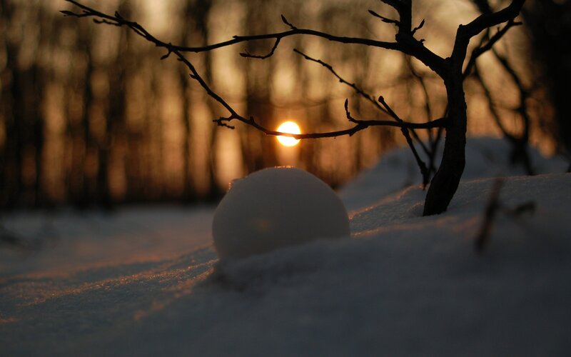 snowball at sunset