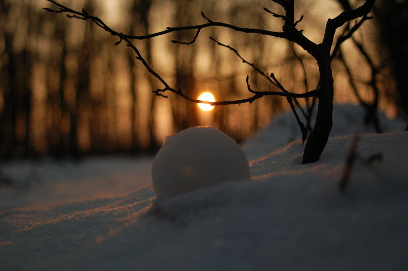 snowball at sunset in forest