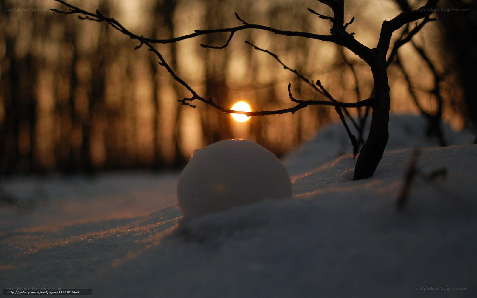 Snowball at sunset