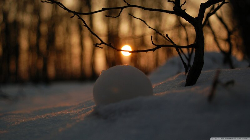 Snowball in Snow