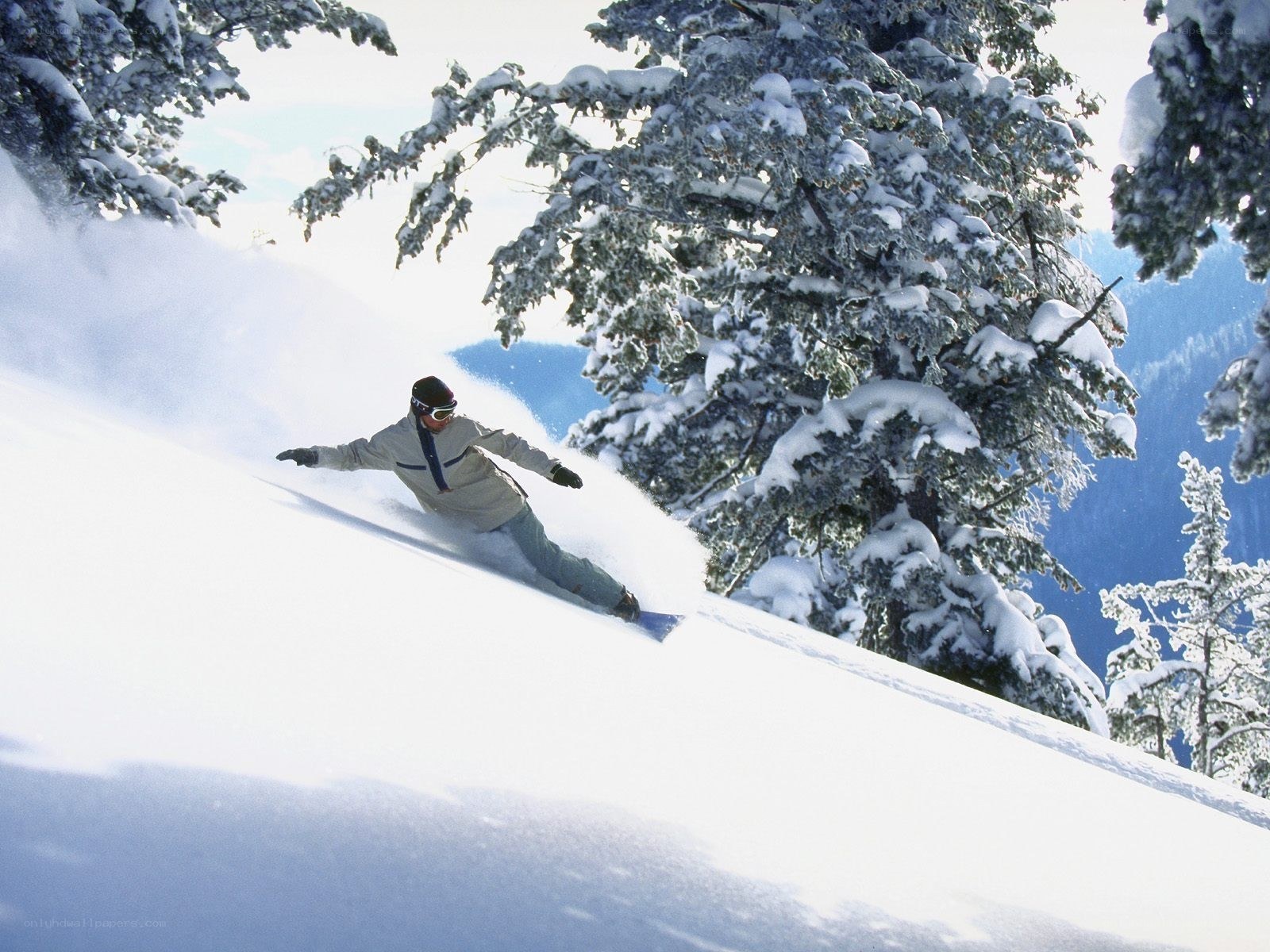 Snowboarder carving down a snowy slope