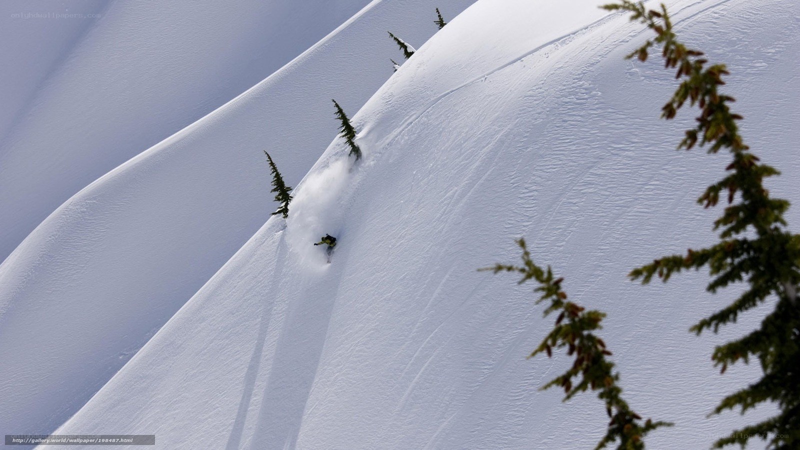 Snowboarder carving down mountain