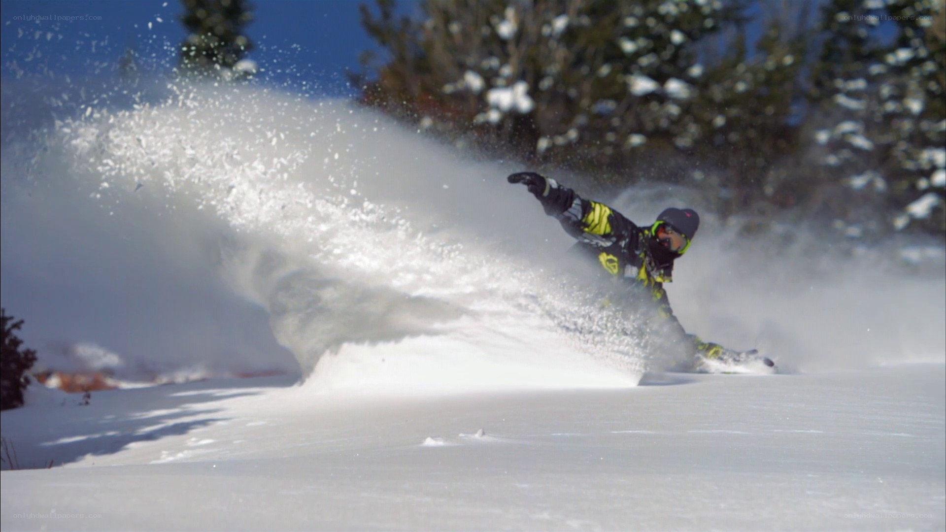 Snowboarder carving through powder