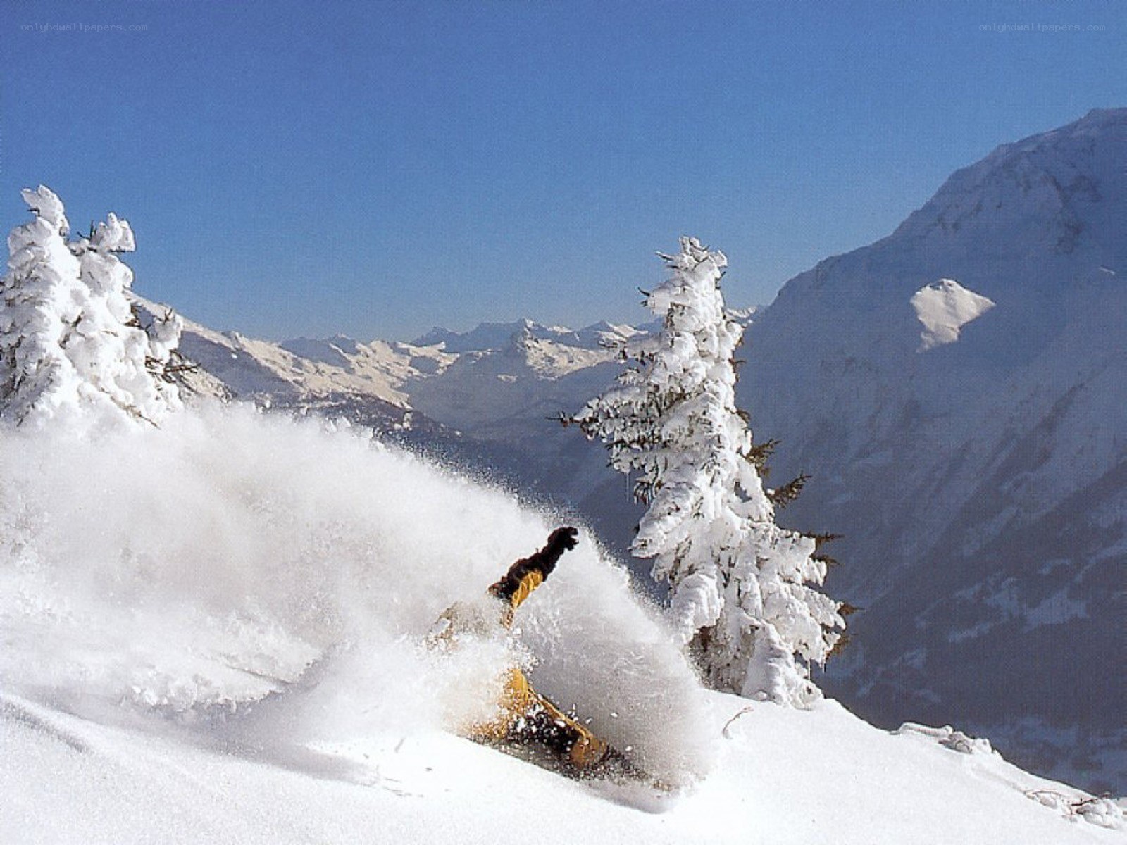 Snowboarder carving through powder