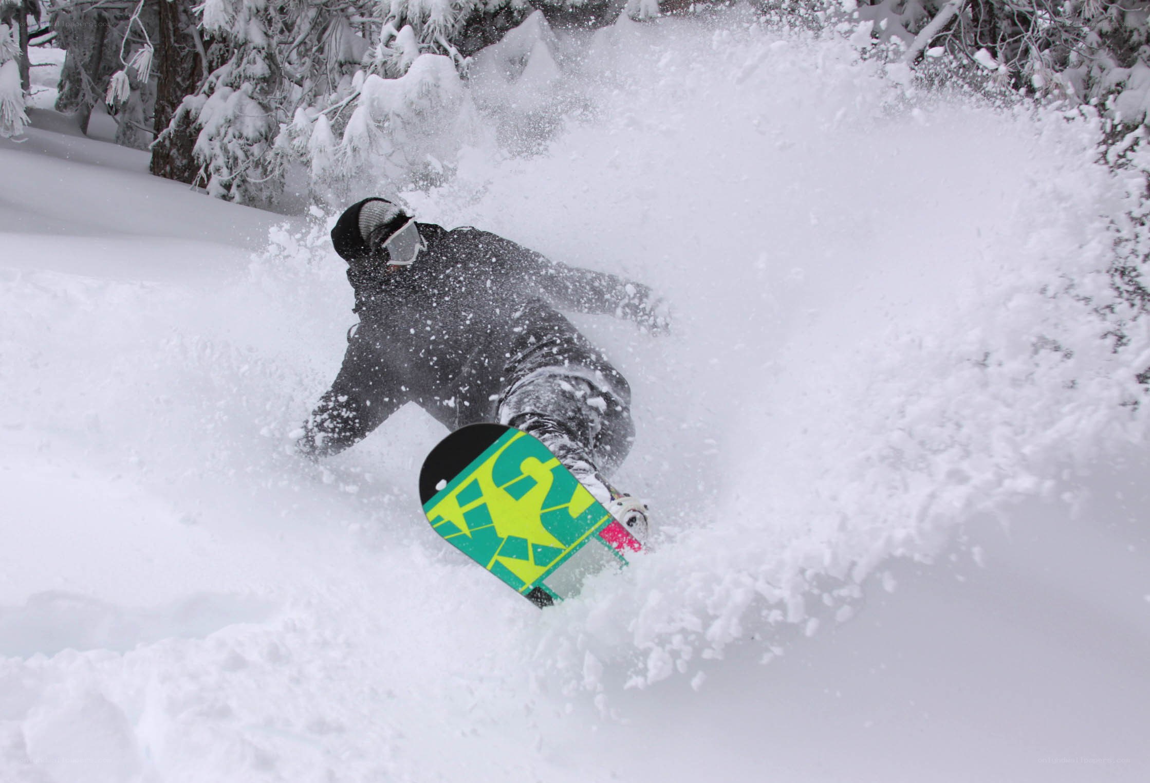 snowboarder carving through powder