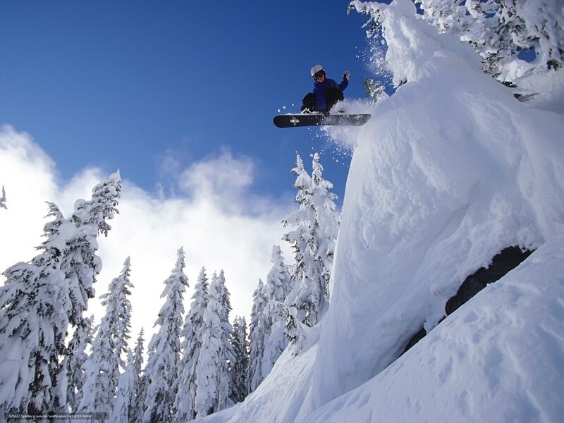 Snowboarder in Mid-air — White, Dynamic, Winter, Photograph, Snow-covered Trees, Mountain Slope