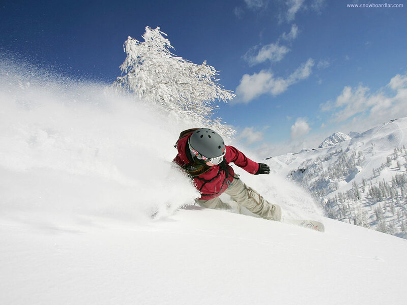 Snowboarder in Powder — White, Dynamic, Winter, Photograph