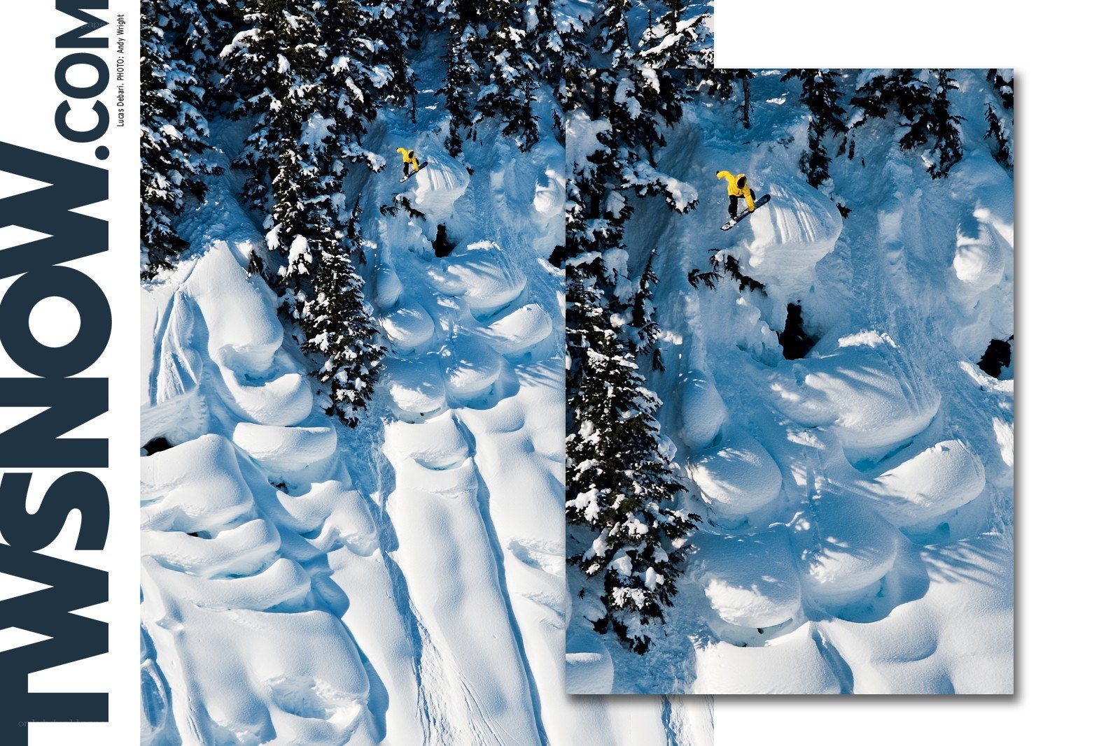 Snowboarder in snowy forest