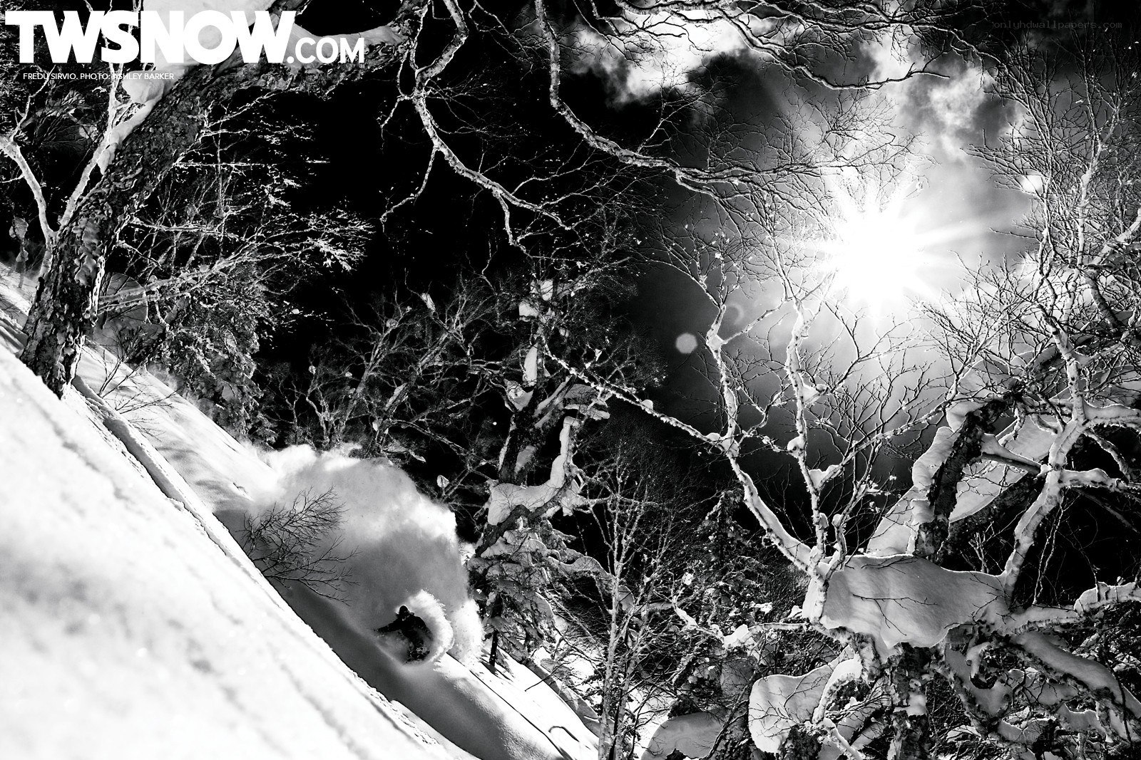 Snowboarder in snowy forest