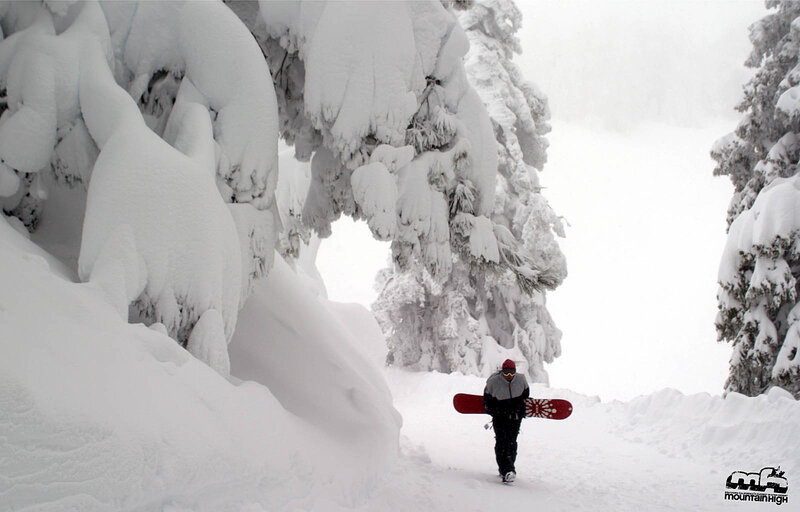Snowboarder in snowy forest