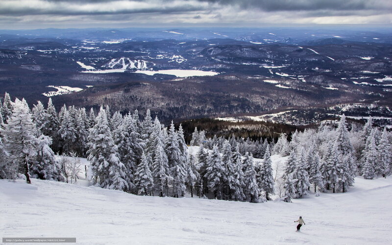 Snowboarder on Slope — White, Dramatic, Winter