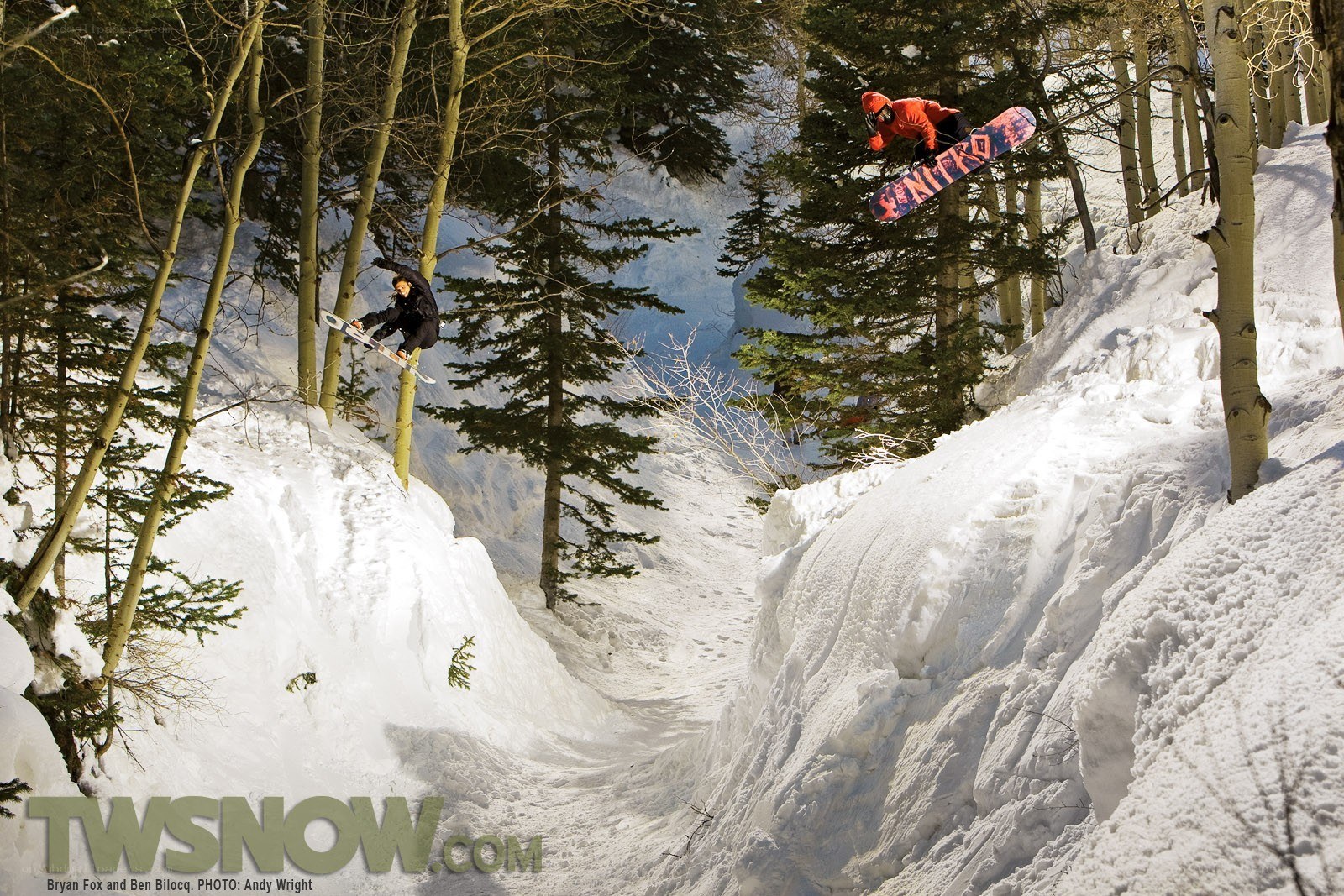 Snowboarders in a snowy forest