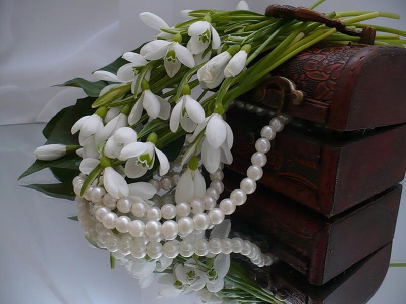 Snowdrop Flowers and Pearls