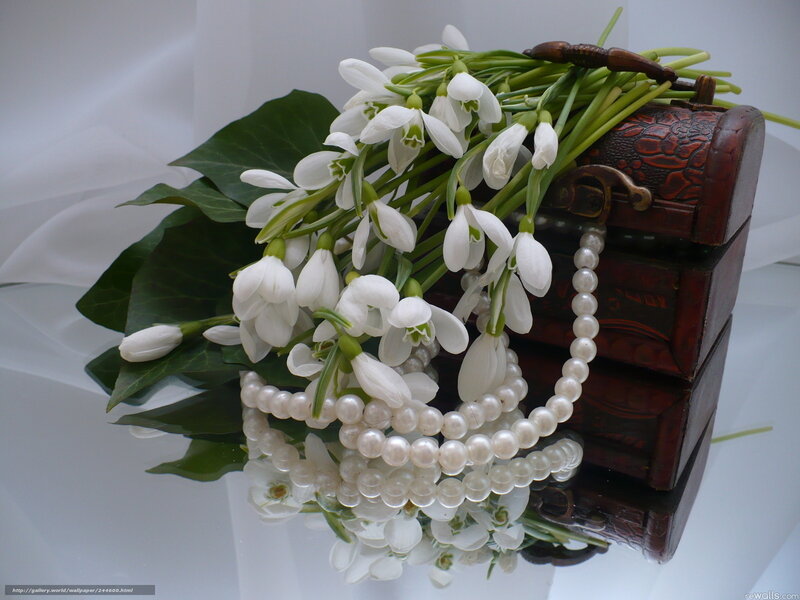 Snowdrop Flowers and Pearls — White