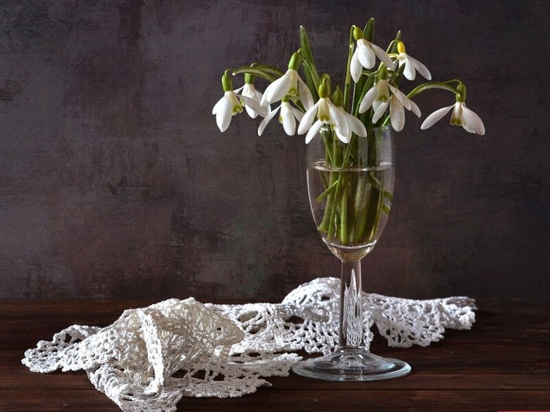 Snowdrops in a Glass