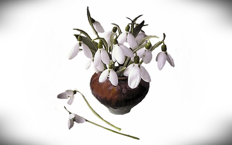 Snowdrops in a Vase — White, Calm