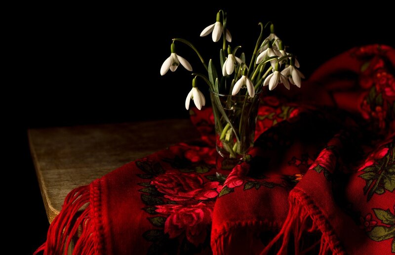 Snowdrops in Glass Vase — Red
