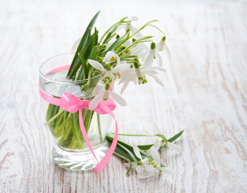 Snowdrops in Glass Vase