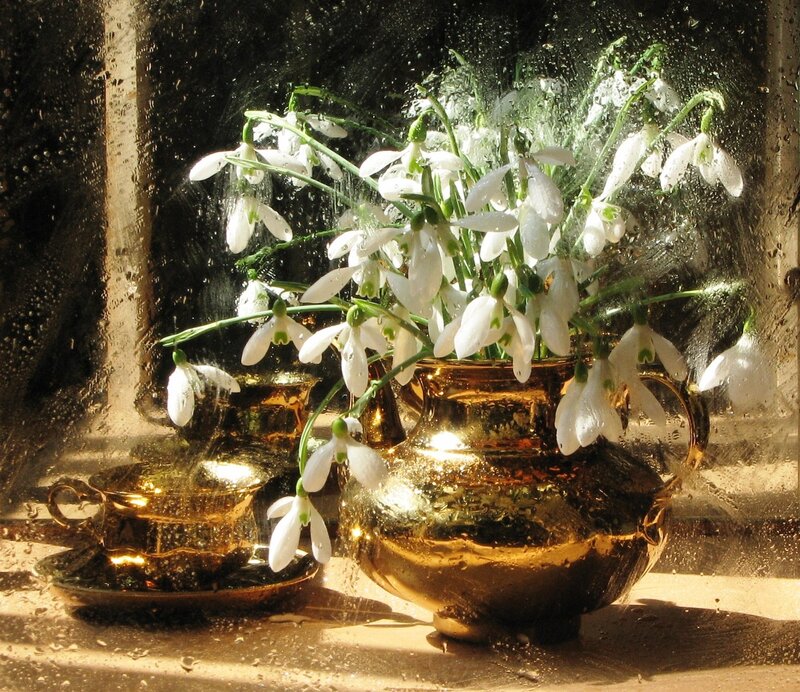 Snowdrops in Golden Vase