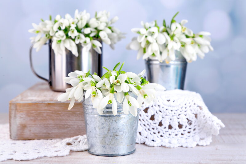 Snowdrops in Metal Buckets