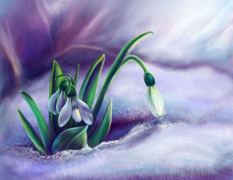 Snowdrops in Snow — Purple