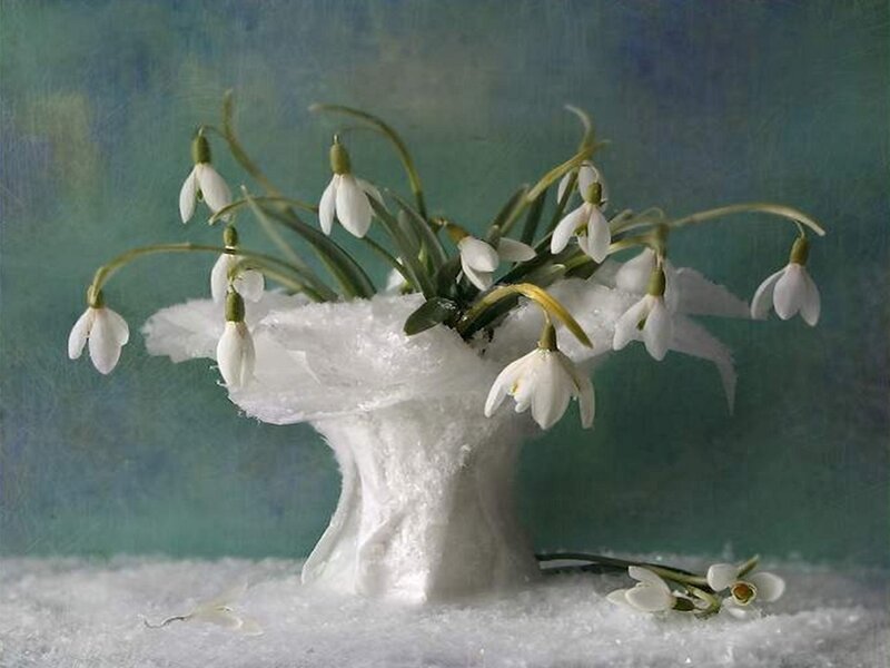 Snowdrops in Snow Vase — White