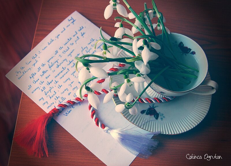 Snowdrops in Teacup