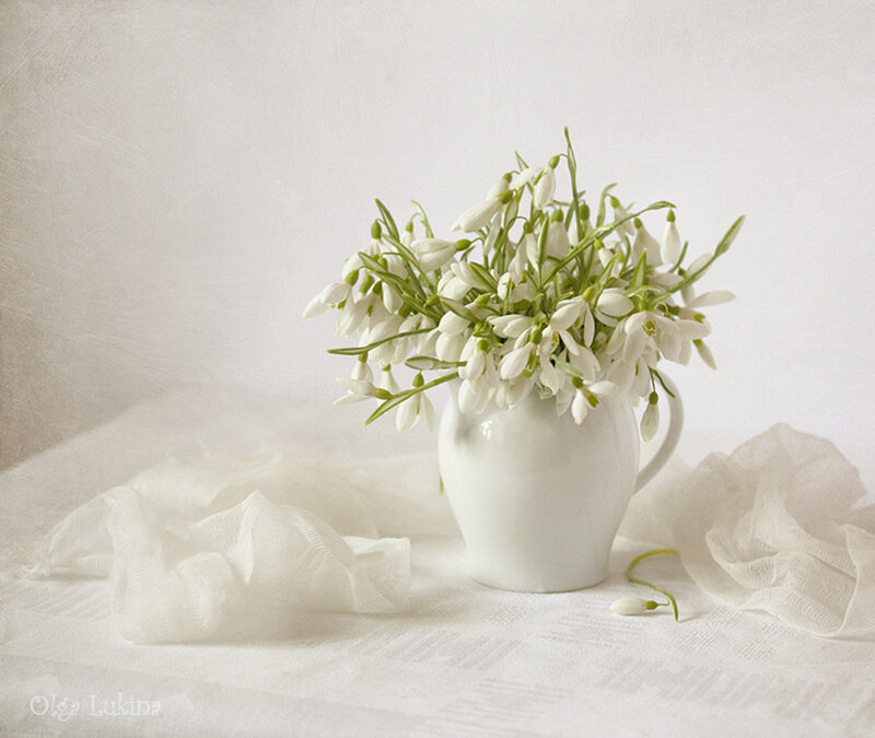 Snowdrops in White Vase