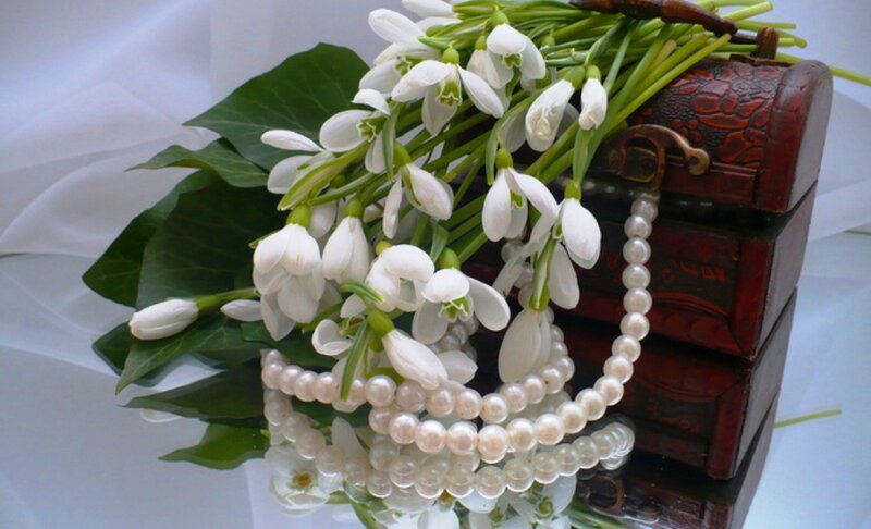 Snowdrops with Pearls