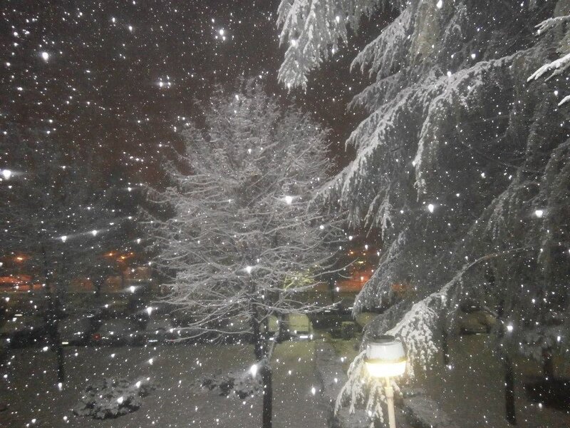 Snowfall at night in a park