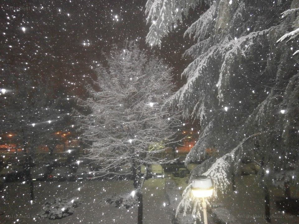 Snowfall at night in a park