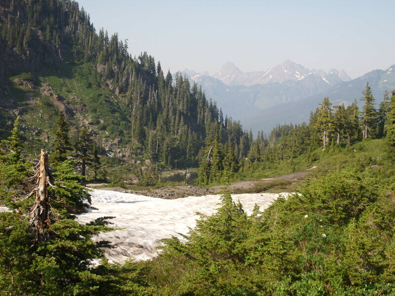 Snowfield in Mountain Valley
